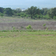 Eagle Eye Observatory Panorama