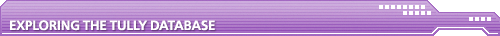 Exploring the Tully Database