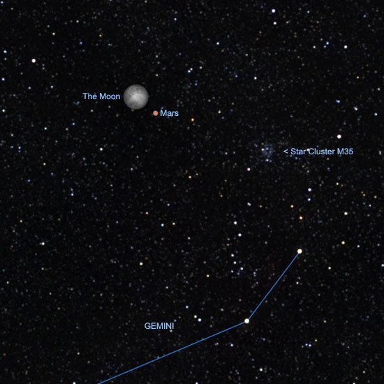 Starry Night This Week